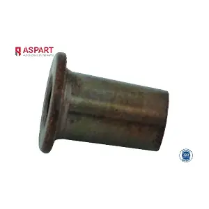 5IHO1027 ASPART