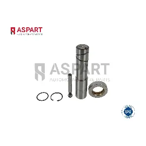 ASPART 1RKI1088