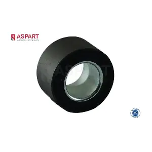 1BUS1004 ASPART
