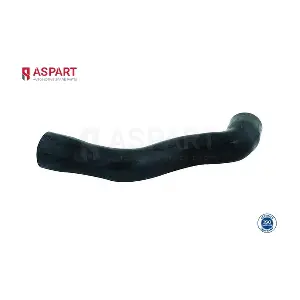 6HOS1049 ASPART