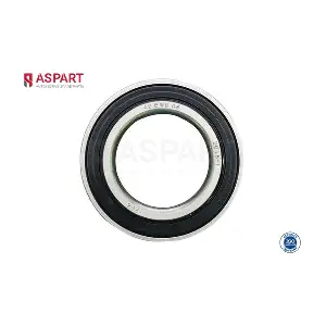 1WBE1010 ASPART