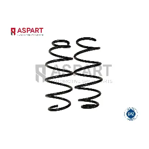 1CSP1039 ASPART