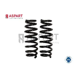 1CSP1073 ASPART