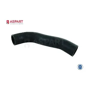 6HOS1535 ASPART