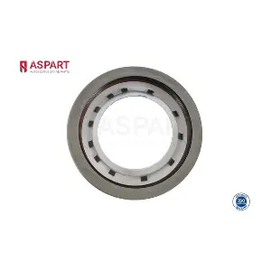 1SEA1038 ASPART