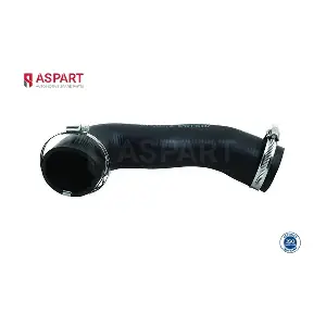 5HOS1304 ASPART