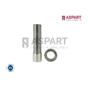 ASPART 1RKI1070