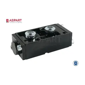 4VAL1008 ASPART