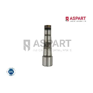 1RKI1077 ASPART