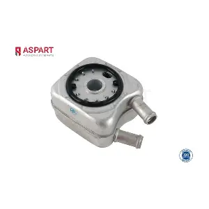 6OCO1008 ASPART
