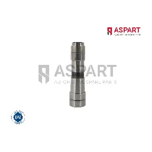 1RKI1090 ASPART