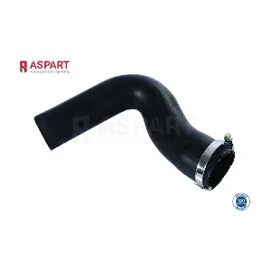 5HOS1381 ASPART