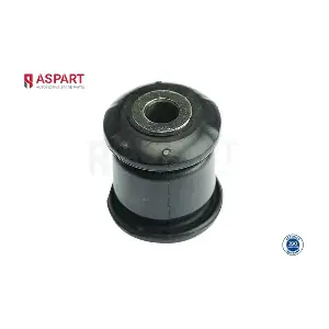 1BUS1077 ASPART