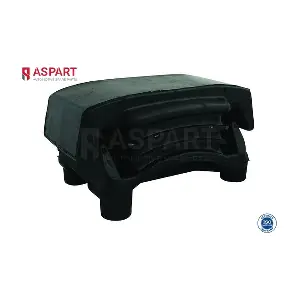 ASPART 1LSR1006