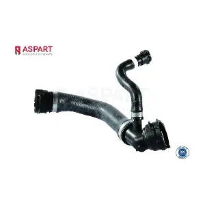 6HOS1061 ASPART