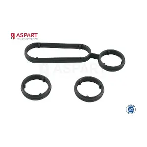 6RKI1002 ASPART