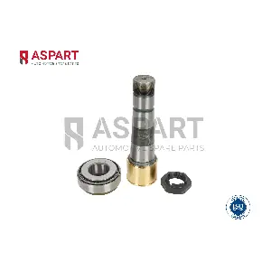 1RKI1064 ASPART
