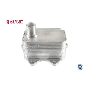 6OCO1022 ASPART