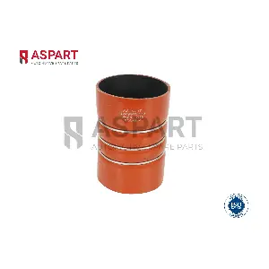 5HOS1019 ASPART