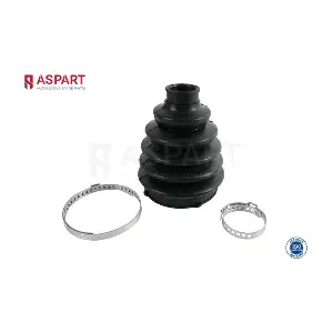 ASPART 1RKI1011