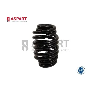 1CSP1198 ASPART