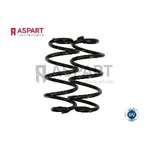 1CSP1166 ASPART