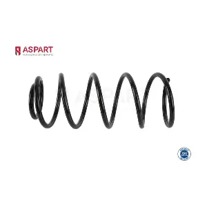 1CSP1013 ASPART