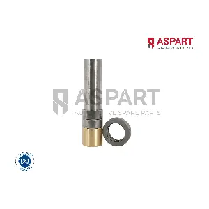 ASPART 1RKI1045