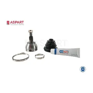 1RKI1022 ASPART