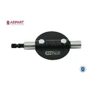 5RKI1011 ASPART
