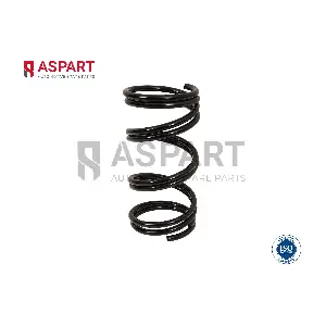 1CSP1096 ASPART