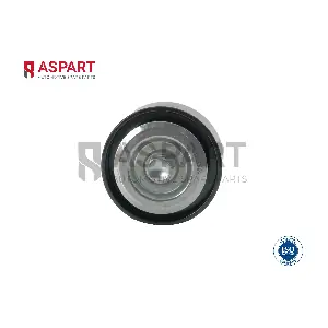 8DGP1265 ASPART