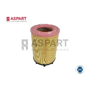 5AFI1017 ASPART