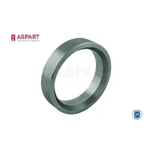 1TRI1001 ASPART