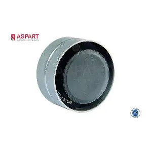 8DGP1001 ASPART
