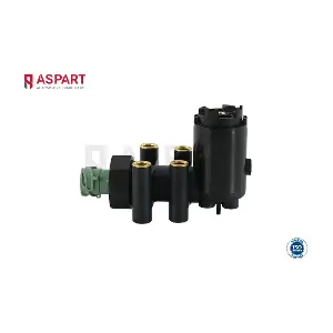 1VAL1013 ASPART