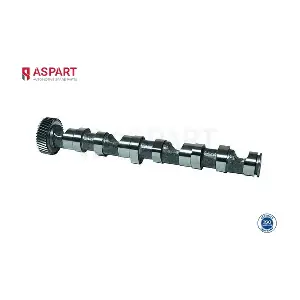8CAM1010 ASPART