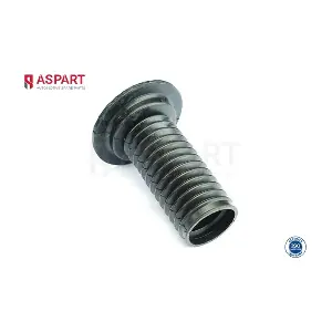 ASPART 1DPS1005