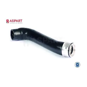 5HOS1326 ASPART