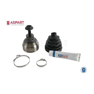 1JKD1088 ASPART