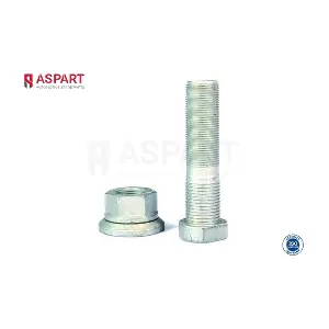 1WPI1054 ASPART