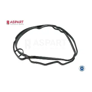 8GAS1196 ASPART