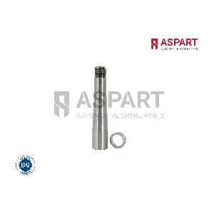 1RKI1034 ASPART