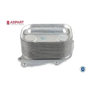 6OCO1041 ASPART