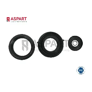 1RKI1030 ASPART