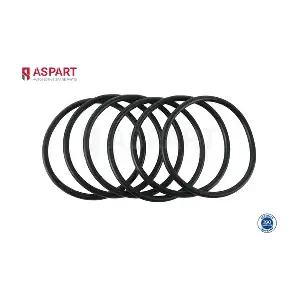 6GAS1004 ASPART