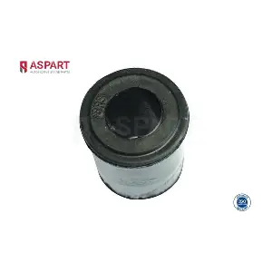 1LSB1009 ASPART
