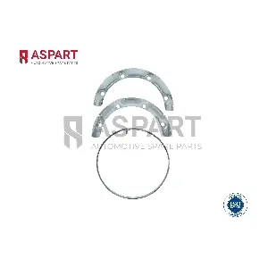 3RKI1019 ASPART