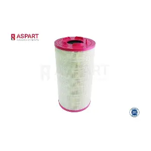 5AFI1009 ASPART
