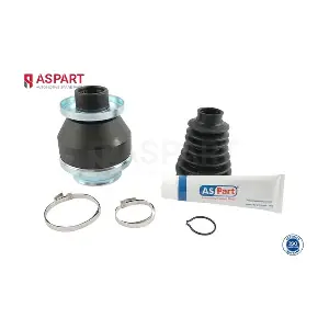 1JKD1076 ASPART